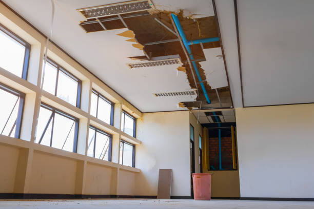 Best Water damage restoration near me  in Carrollton, IL