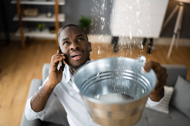 Best Residential water damage restoration  in Carrollton, IL