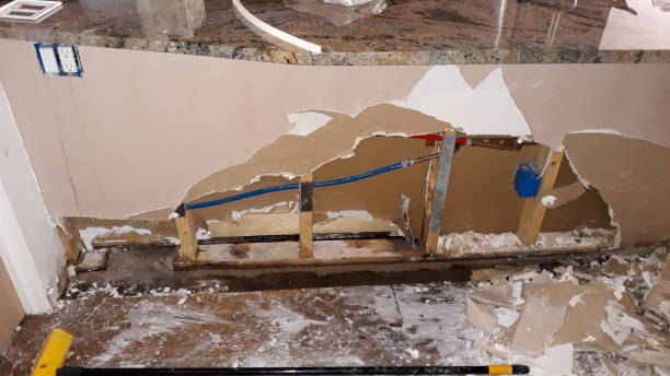 Best Local water damage restoration  in Carrollton, IL