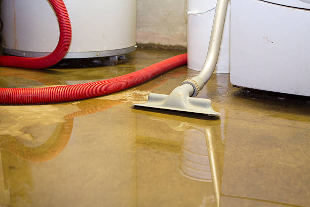 Best Local water damage restoration  in Carrollton, IL