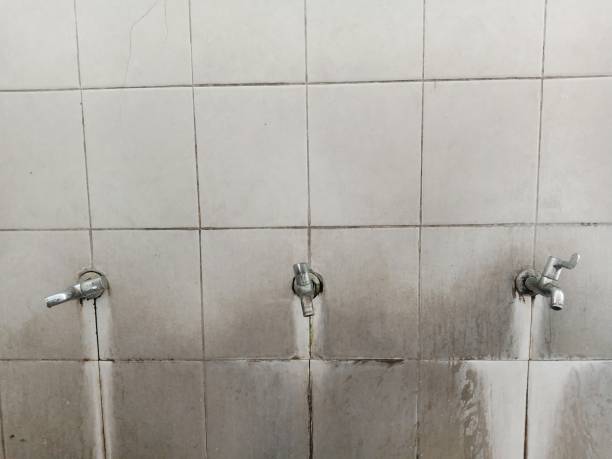Best Carpet water damage restoration  in Carrollton, IL
