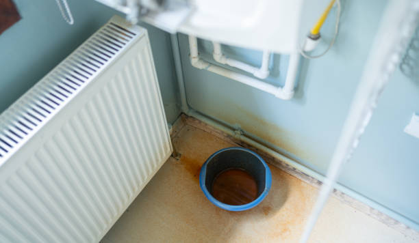 Best Professional water damage repair  in Carrollton, IL