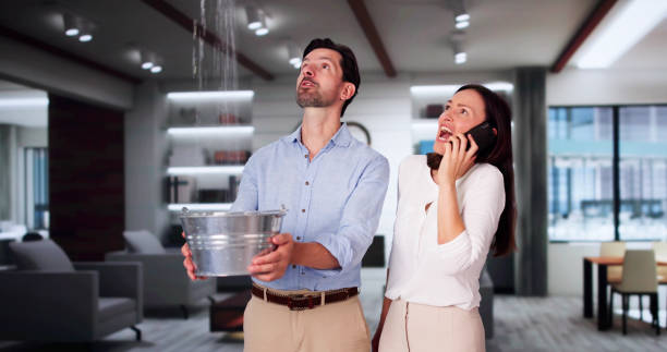 Best Flood damage cleanup  in Carrollton, IL